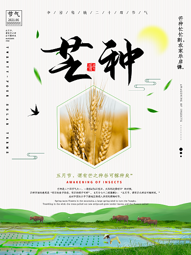 芒种中国风二十四节气海报
