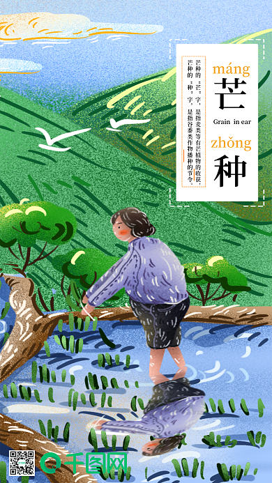 芒种节气之农忙时节田间辛勤种田种稻的农民