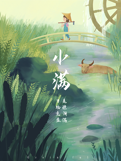 小清新节气小满海报麦穗饱满插画