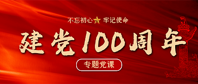 建党一百周年专题党课培训