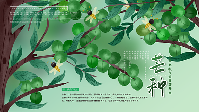 原创手绘芒种节日节气展板