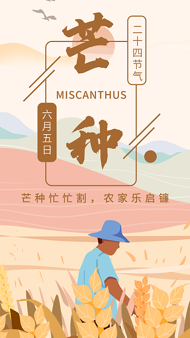 手机海报24节气芒种插画麦子