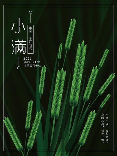 墨绿色夏夜手绘渐变二十四节气小满节日海报