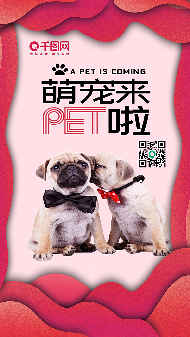 萌宠来啦宠物猫狗手机配图