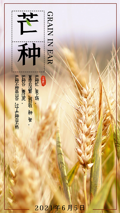 芒种二十四节气开屏页