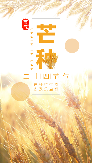 清新简约二十四节气芒种手机海报