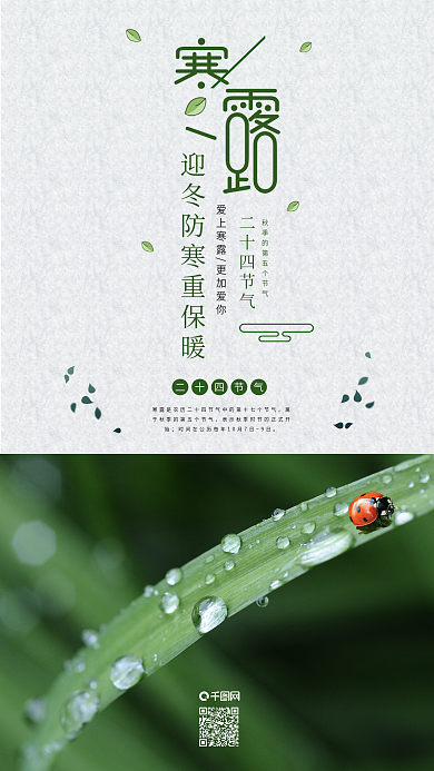 原创中国风24节气寒露手机用图