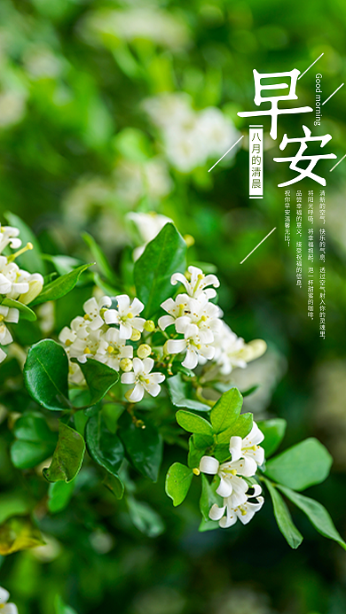 早安美好问候语手机海报设计