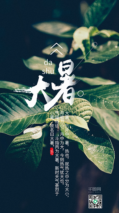 大气大暑节气手机海报