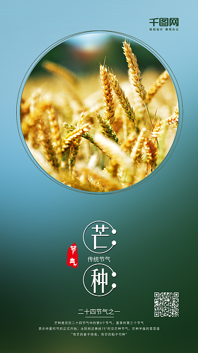 小清新芒种二十四节气手机微信配图