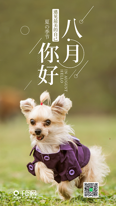 加油宠物你好八月手机海报设计