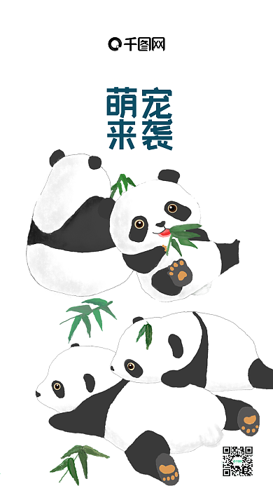 萌宠来袭可爱的熊猫宝宝