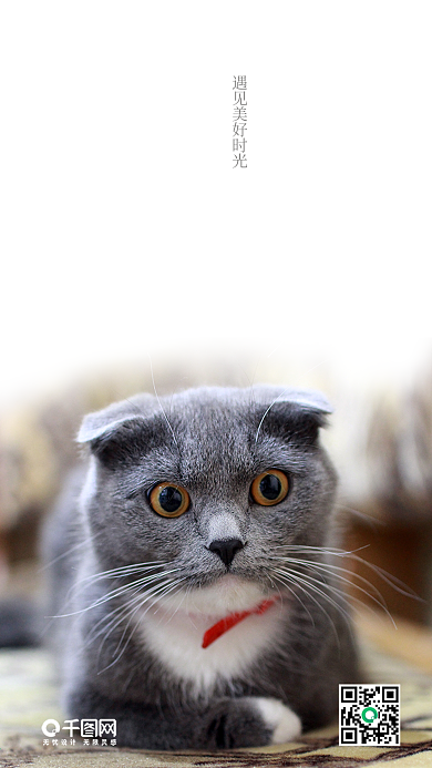 简约你好晚安手机海报设计