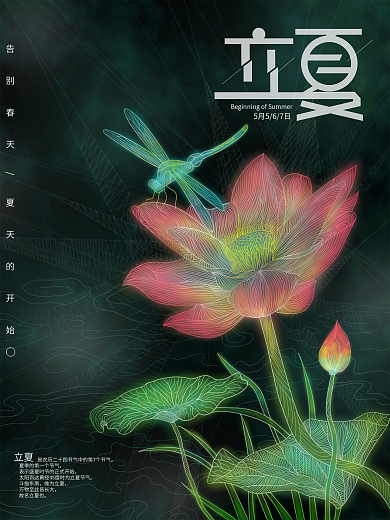 立夏荷花蜻蜓线条透感节气节日原创海报