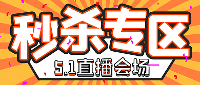 简约活动秒杀专区