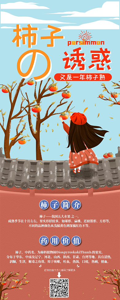 柿子食用介绍信息长图