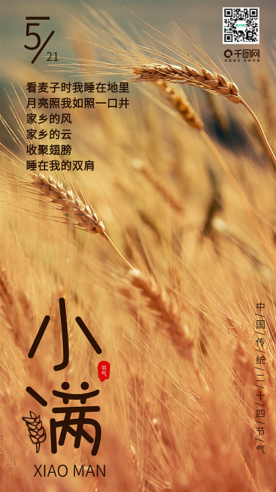 小满二十四节气小清新手机海报