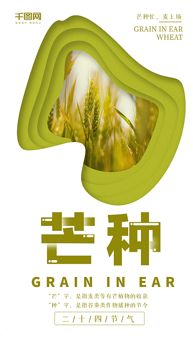 二十四节气芒种手机海报设计