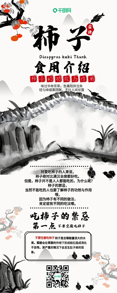 柿子食用禁忌功效干货科普信息长图