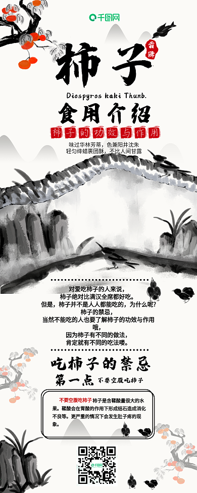 柿子食用禁忌功效干货科普信息长图