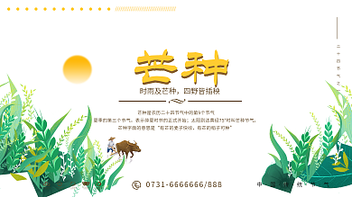 手绘风芒种节气展板