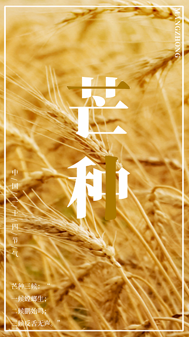 芒种二十四节气手机节气热点海报手机用图