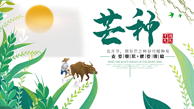 芒种展板二十四节气海报小清新