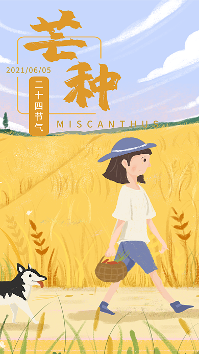 手机海报芒种节气稻田金黄