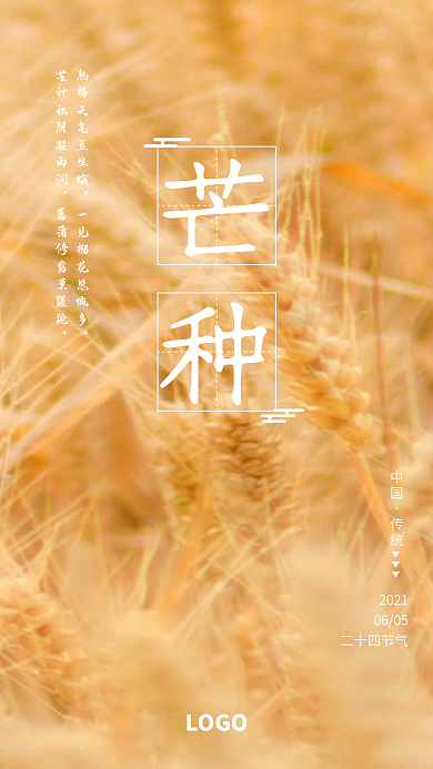 二十四节气芒种麦子手机海报