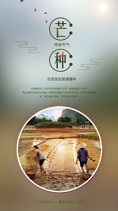 小清新芒种二十四节气宣传图