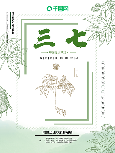 绿色清新简约三七药材养生促销海报