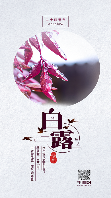二十四节气之白露手机海报