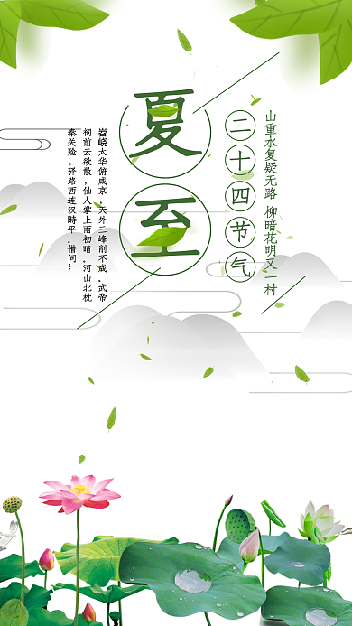 中国风夏至节气视频动态海报模板
