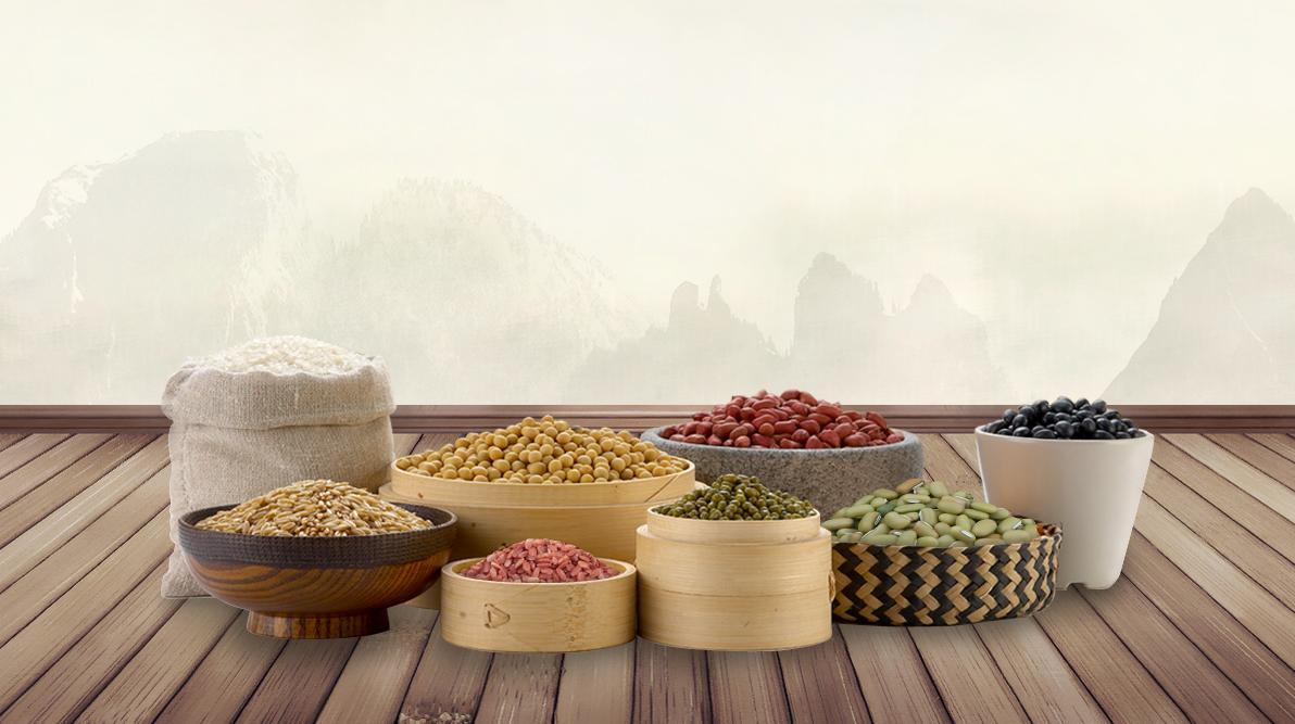 農(nóng)業(yè)科技農(nóng)產(chǎn)品農(nóng)作物五谷雜糧PPT模板