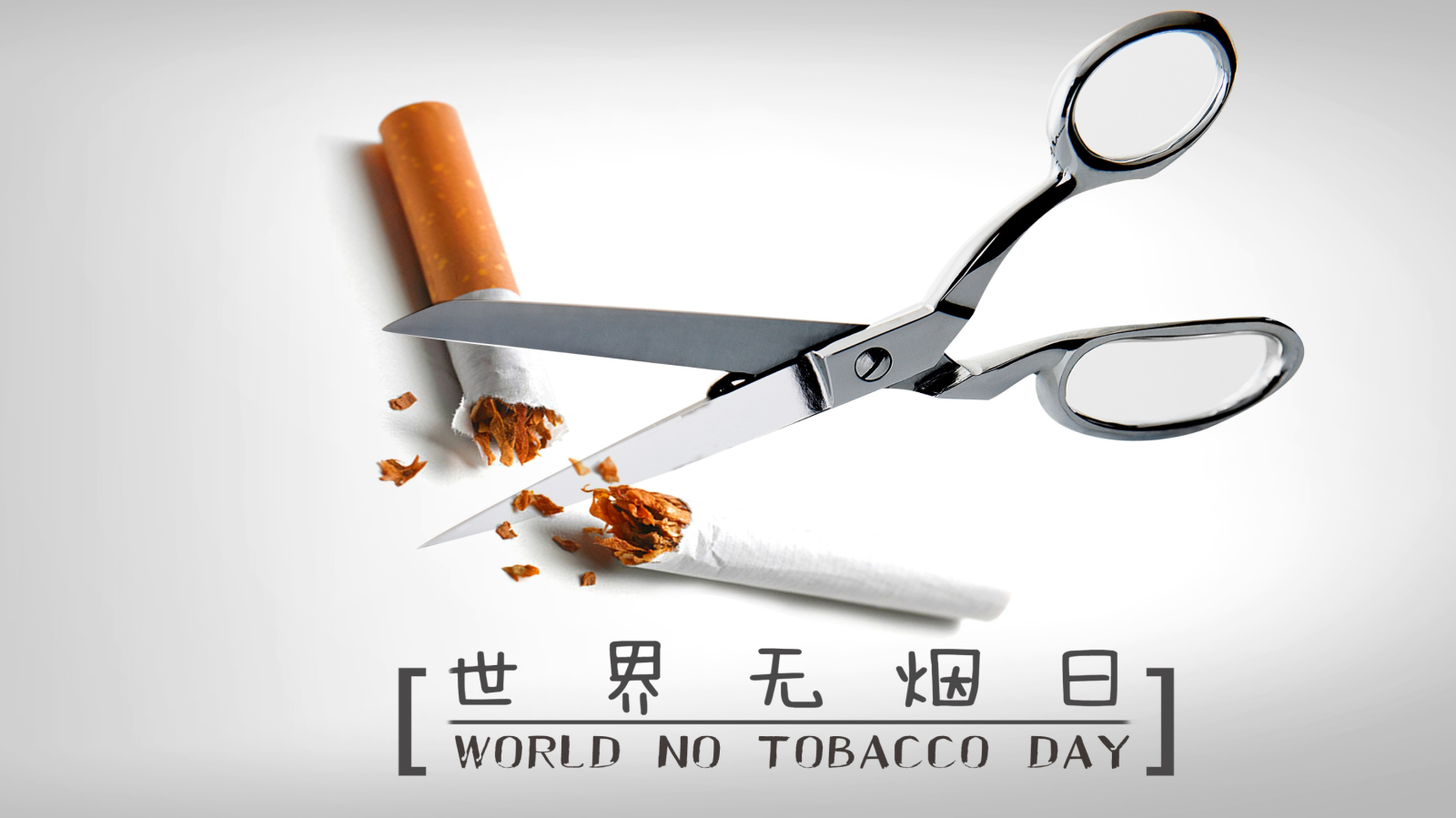簡約風(fēng)世界無煙日公益宣傳PPT模板