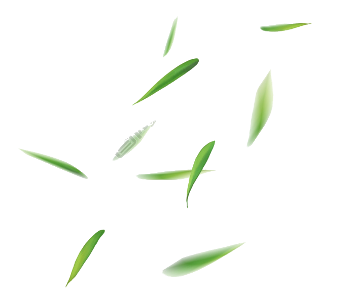 淺綠雜志風(fēng)立夏PPT模板