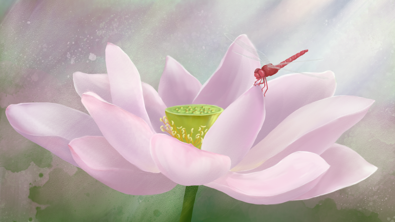 荷花小池古風(fēng)唯美教學(xué)課件工作匯報(bào)通用模板