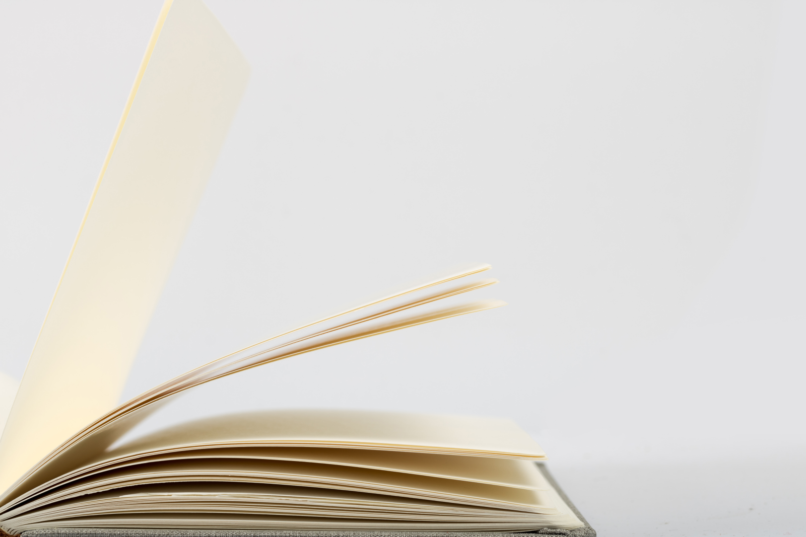讀書筆記分享讀書會(huì)世界讀書日