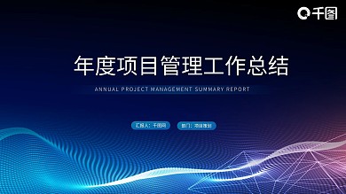 年度项目管理工作总结报告
