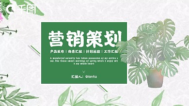 小清新营销策划通用PPT模板
