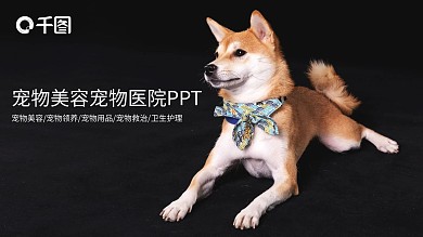 可爱萌宠宠物行业医院公司介绍PPT模板