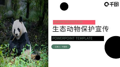 深绿色自然简约生态动物保护宣传PPT模板