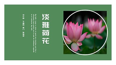 荷花PPT背景图片