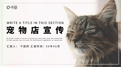 喵星人小清新通用PPT模版