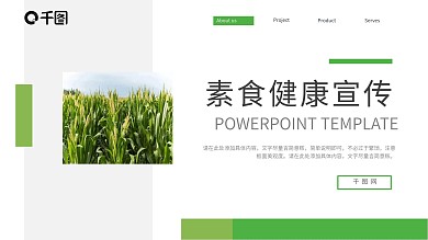 宣传健康风素食运营推广PPT
