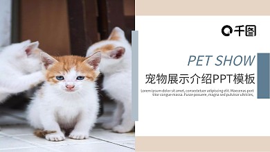 萌宠物展示介绍PPT主题（黑与白作品）