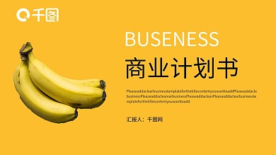 元宝金欧美简约实用商业计划书PPT模板