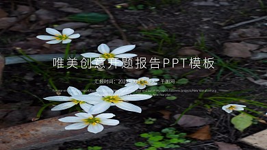 唯美创意开题报告PPT模板