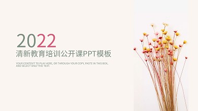 简约清新教育培训教学设计公开课PPT模板