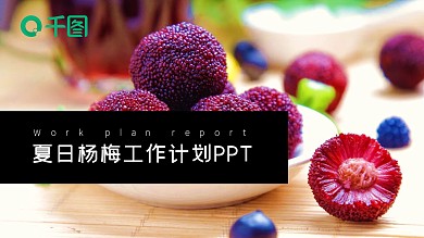 杨梅产品介绍工作总结商务计划通用PPT